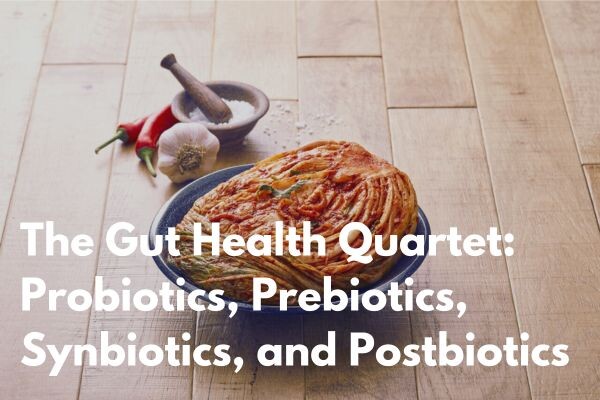 probiotics prebiotics synbiotics postbiotics